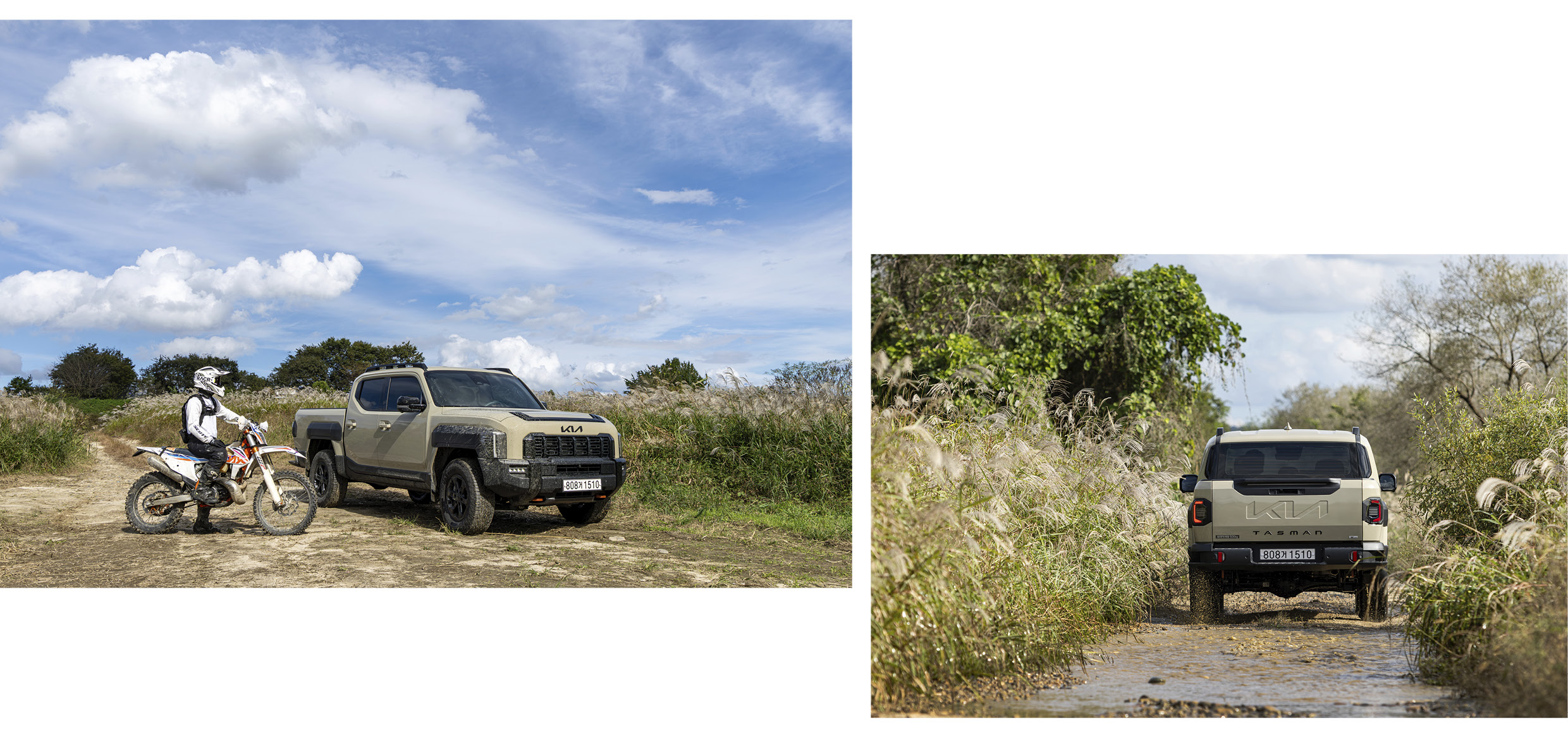 타스만과 산악 바이크의 모습