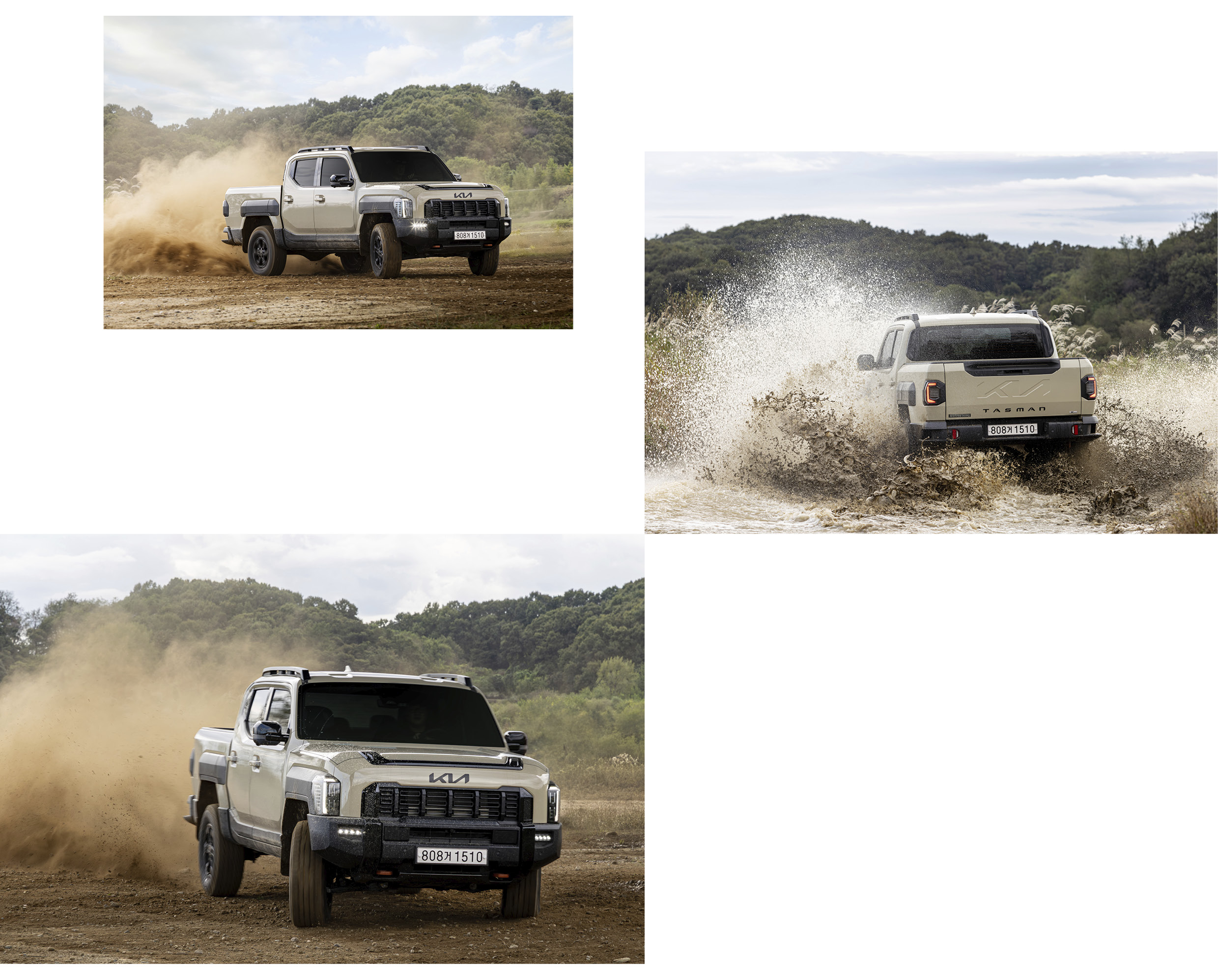 타스만의 주행 모습