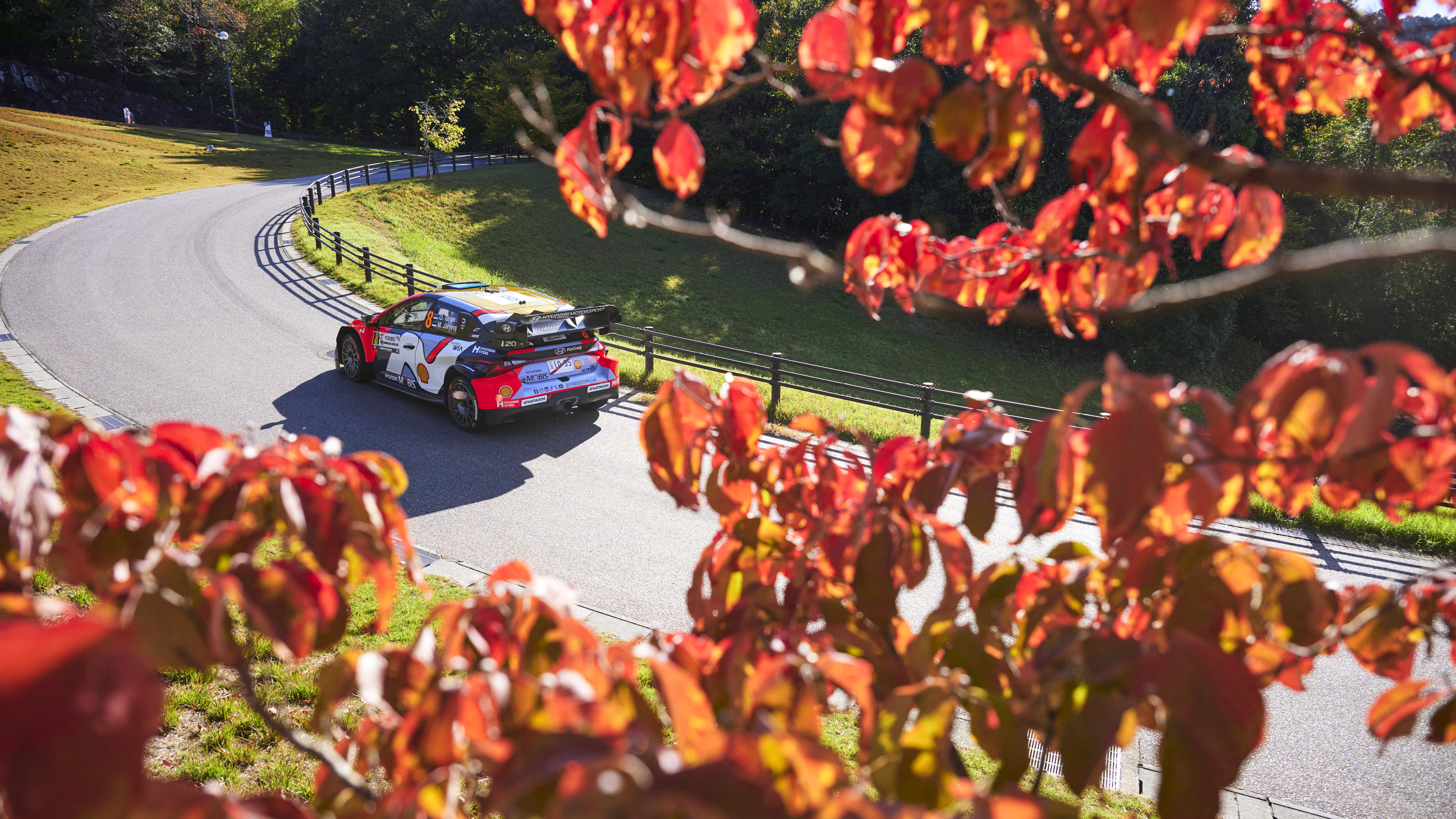 Hyundai Team Rally Car Driving on Forest Road