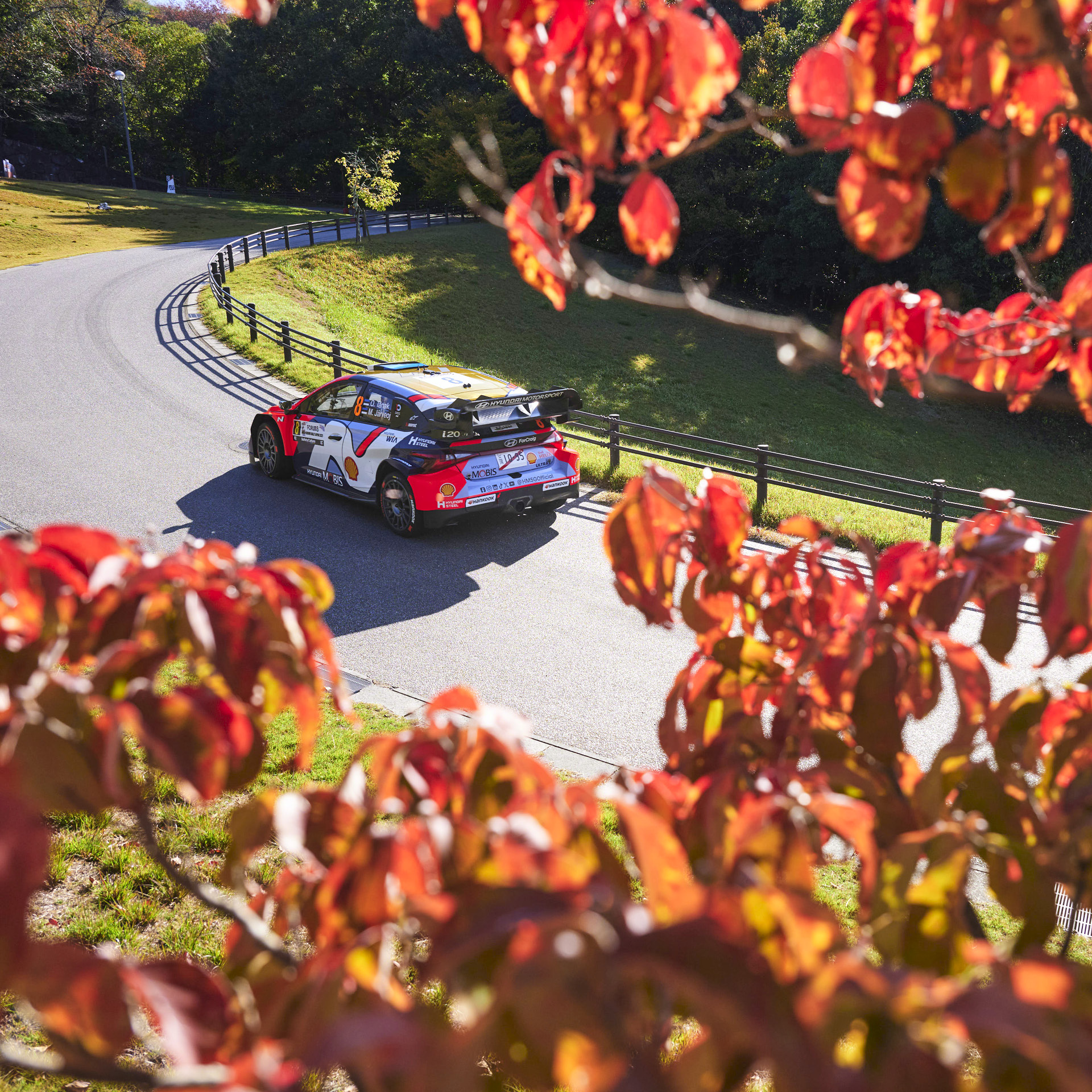 Hyundai Team Rally Car Driving on Forest Road