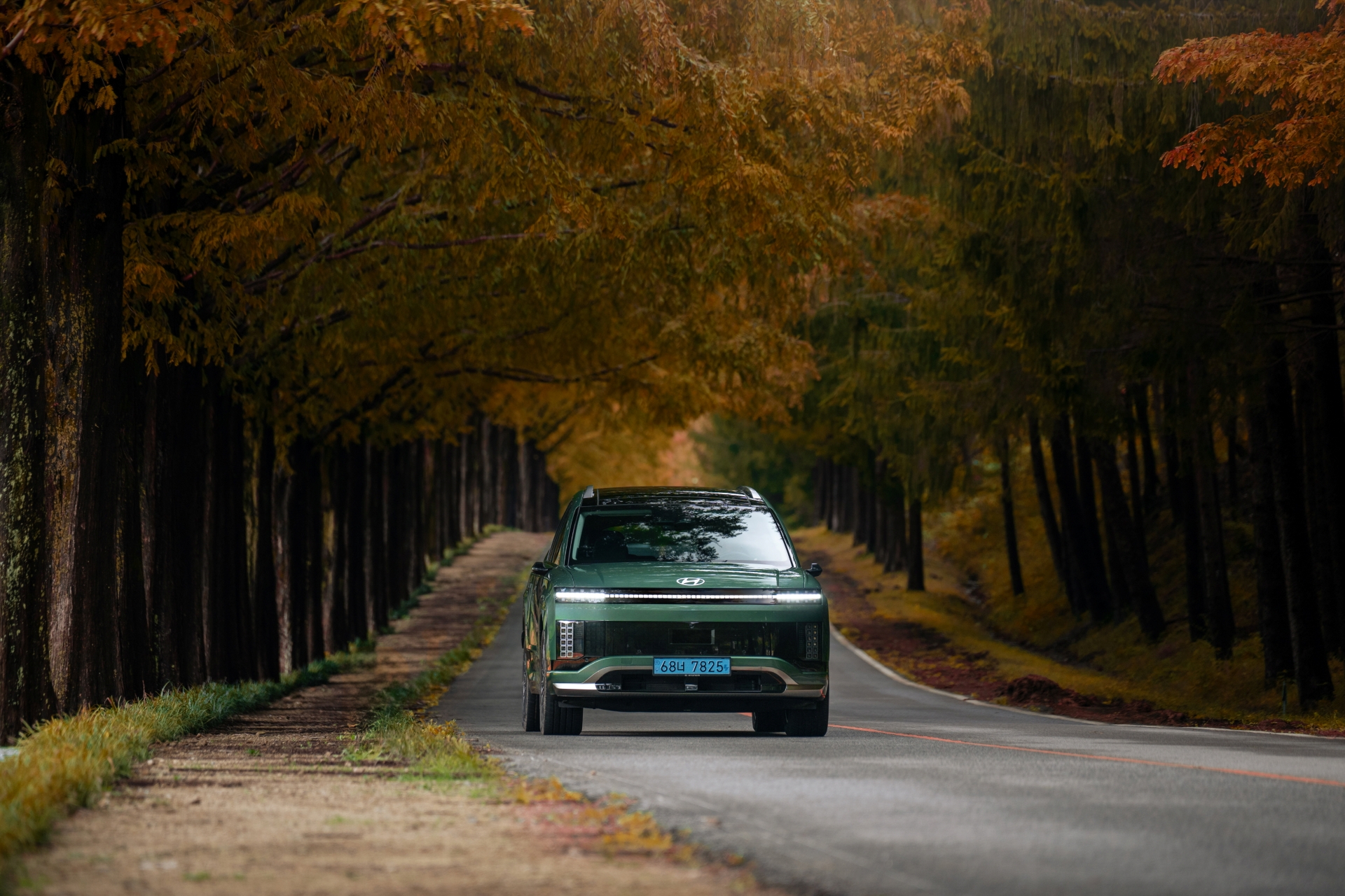 황금빛 단풍길을 따라 가을 풍경 속으로 아이오닉 9과 고요한 가을 여정을 시작해보세요_정면