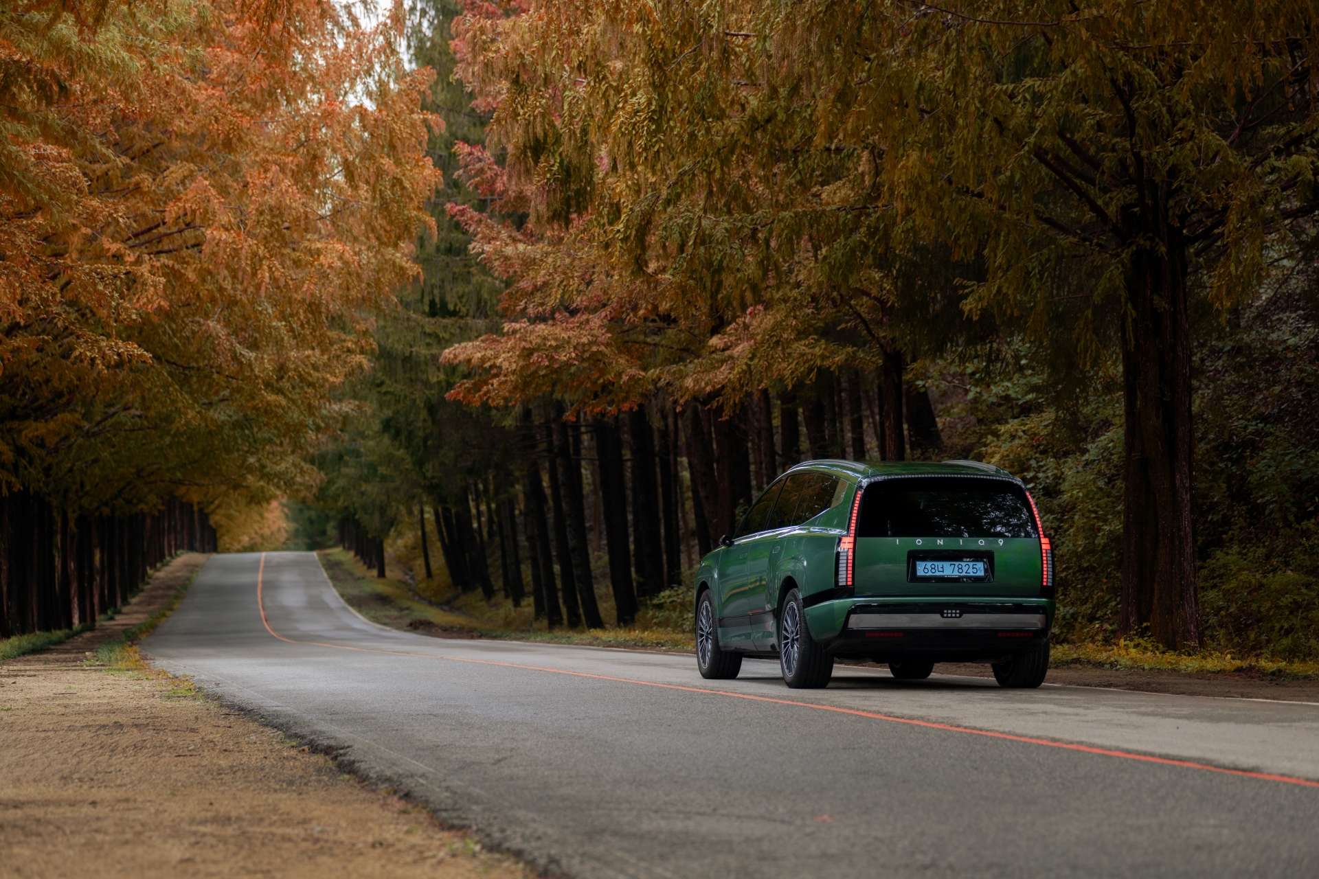 황금빛 단풍길을 따라 가을 풍경 속으로 아이오닉 9과 고요한 가을 여정을 시작해보세요_후면