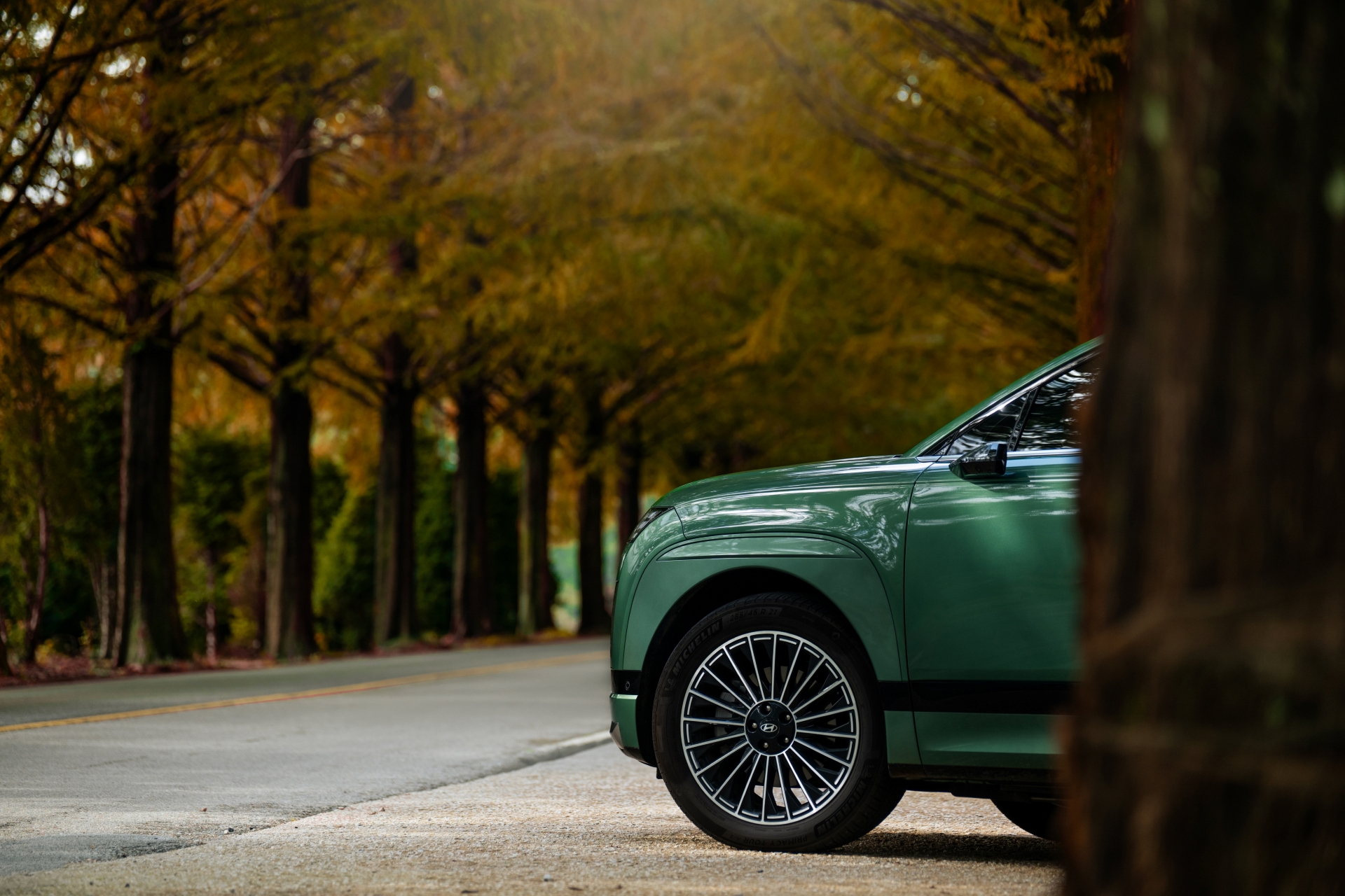 황금빛 단풍길을 따라 가을 풍경 속으로 아이오닉 9과 고요한 가을 여정을 시작해보세요_앞바퀴쪽