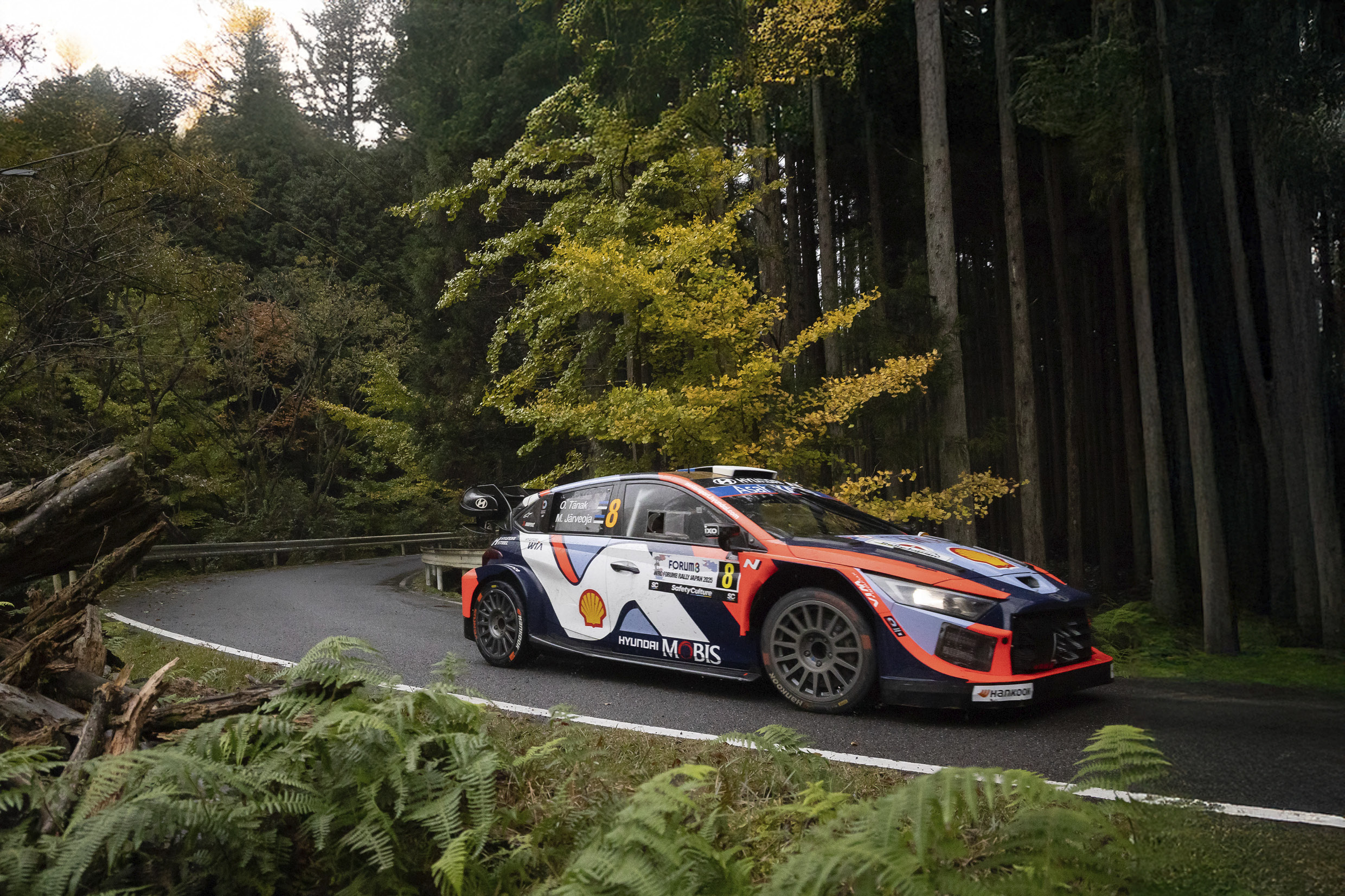Hyundai Team Rally Car Driving on Forest Road