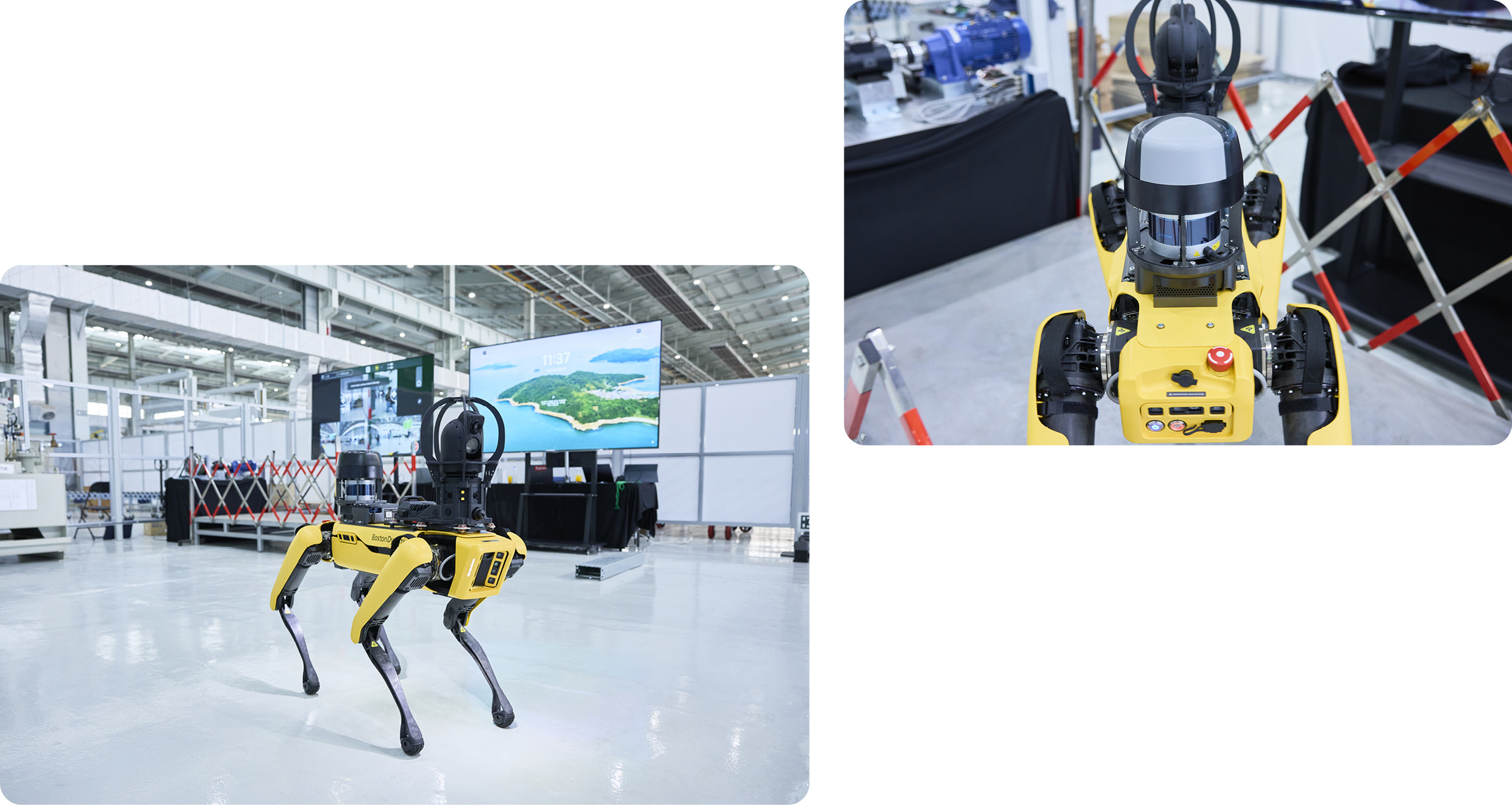 이 포레스트 내부의 스팟