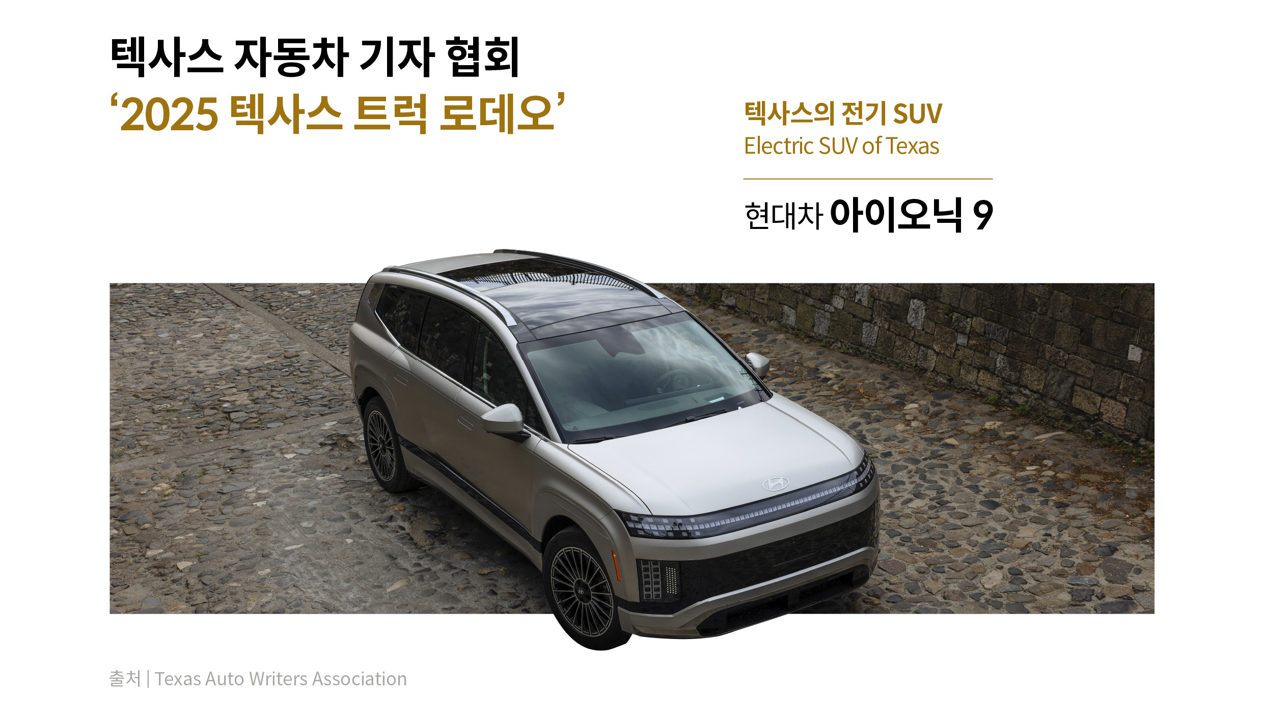 텍사스 트럭 로데오를 수상한 아이오닉 9