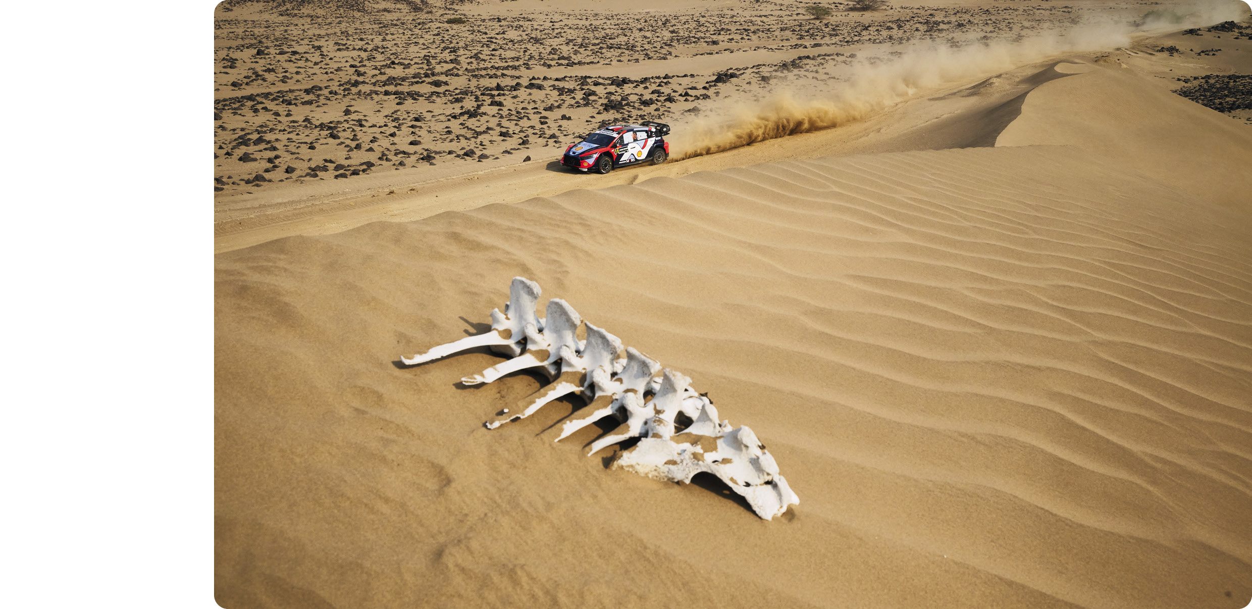 2025 saudi arabia rally