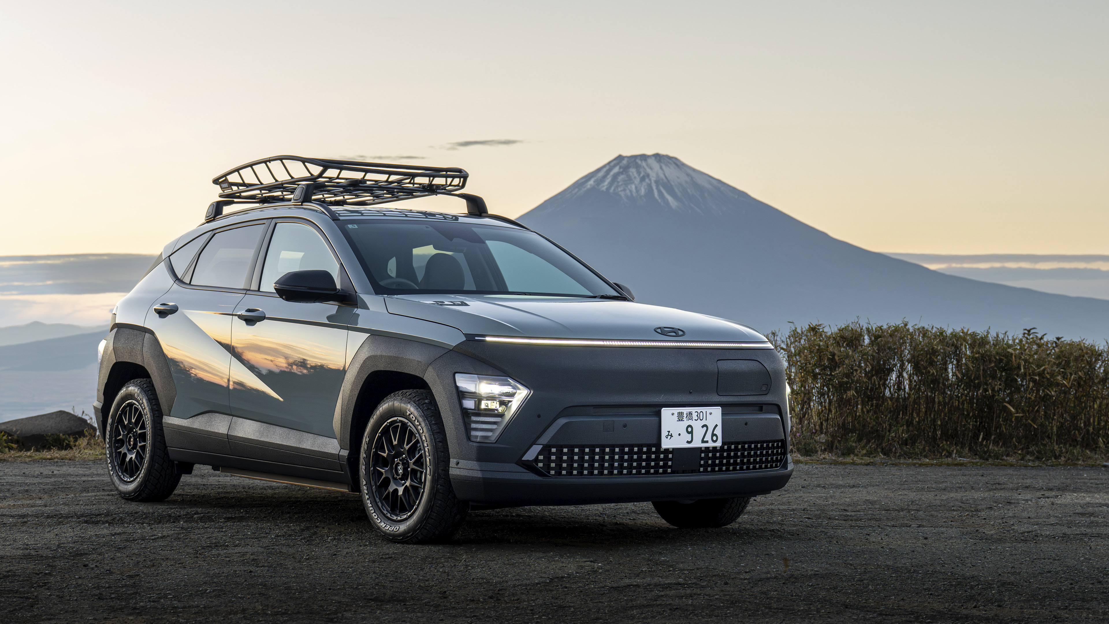 Hyundai Kona Electric