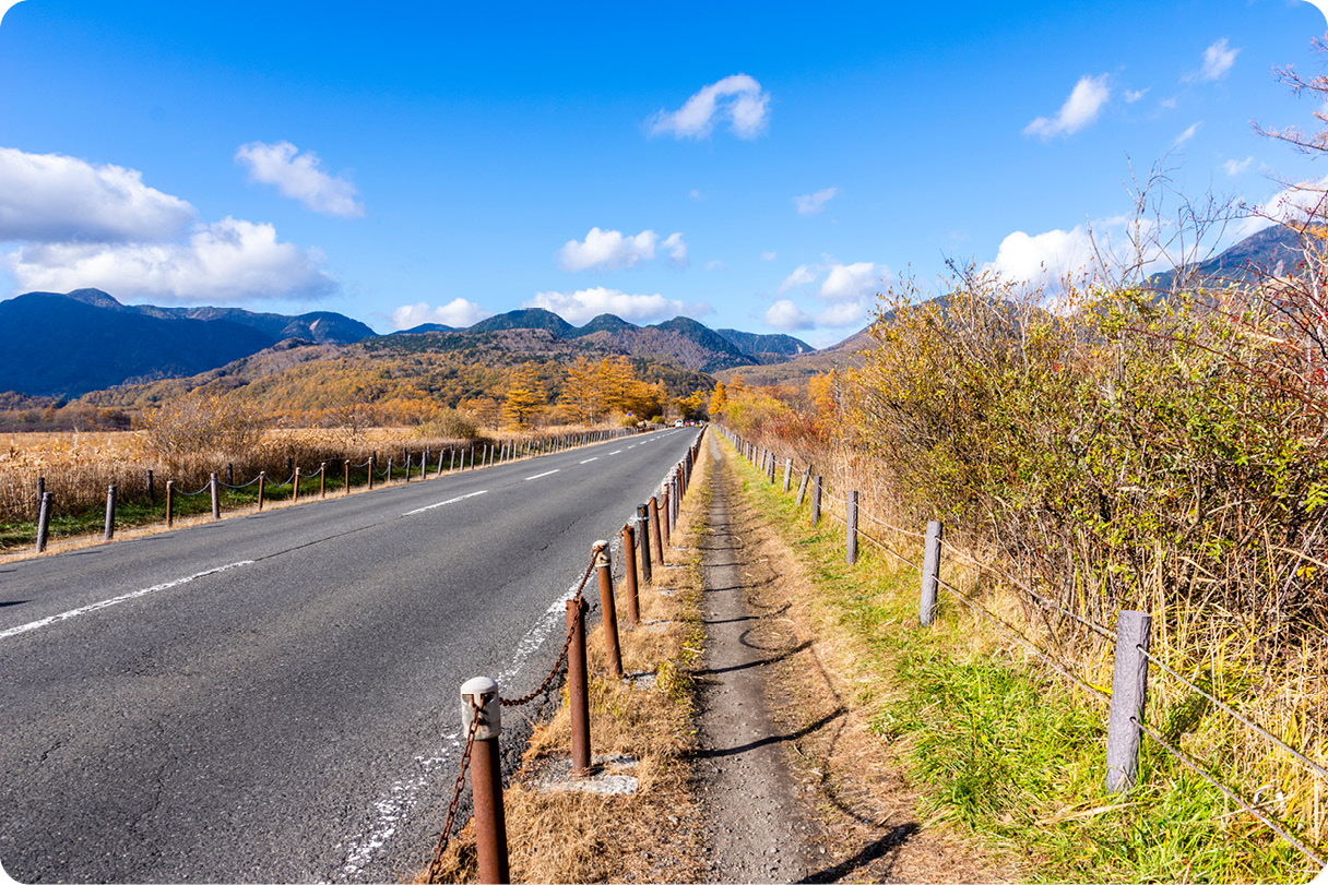 A view of the Japanese mountain road