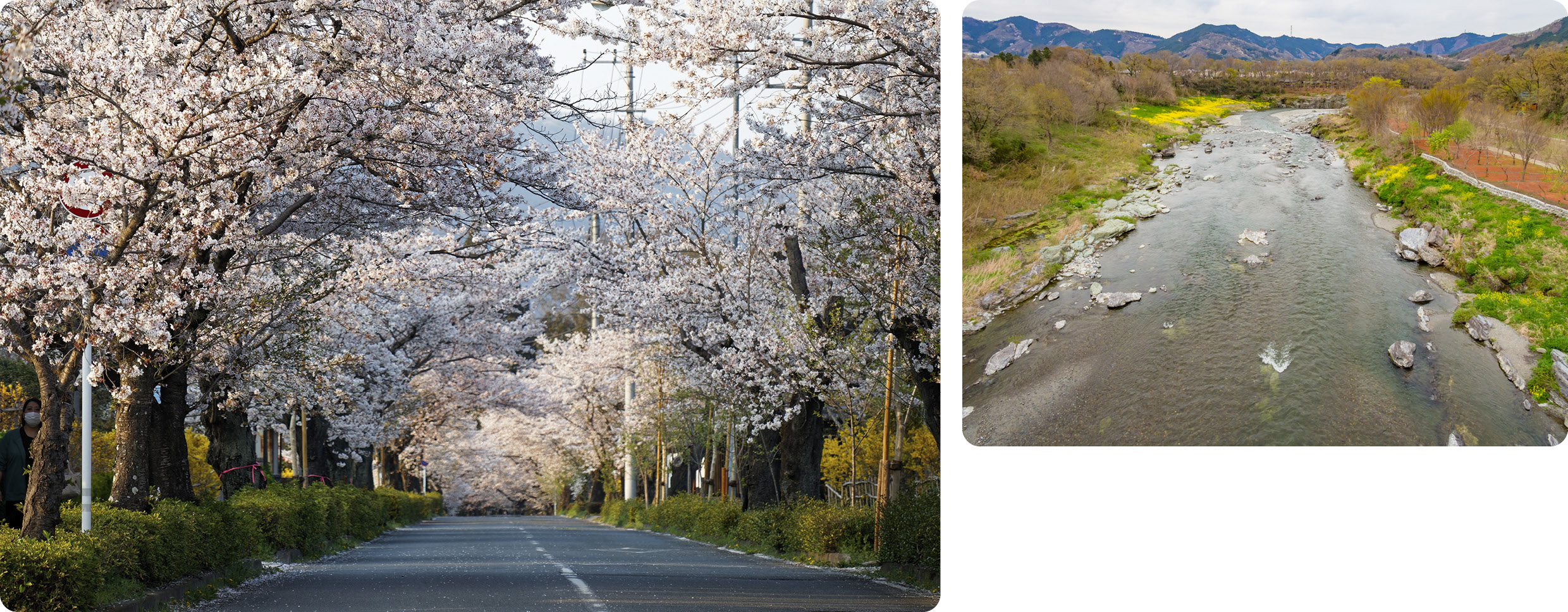 A view of the Japanese road