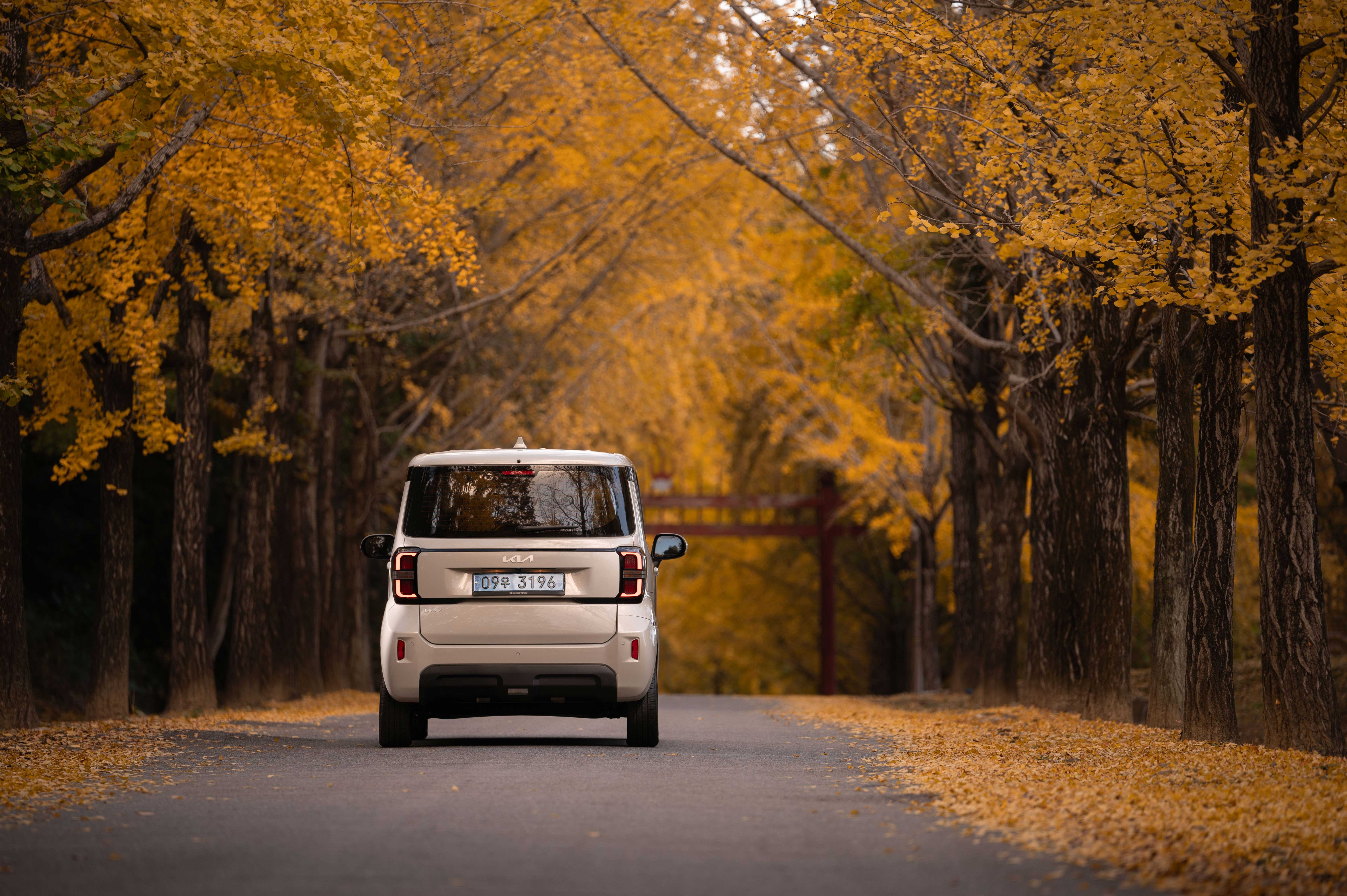 레이EV  후면 롱앵글샷