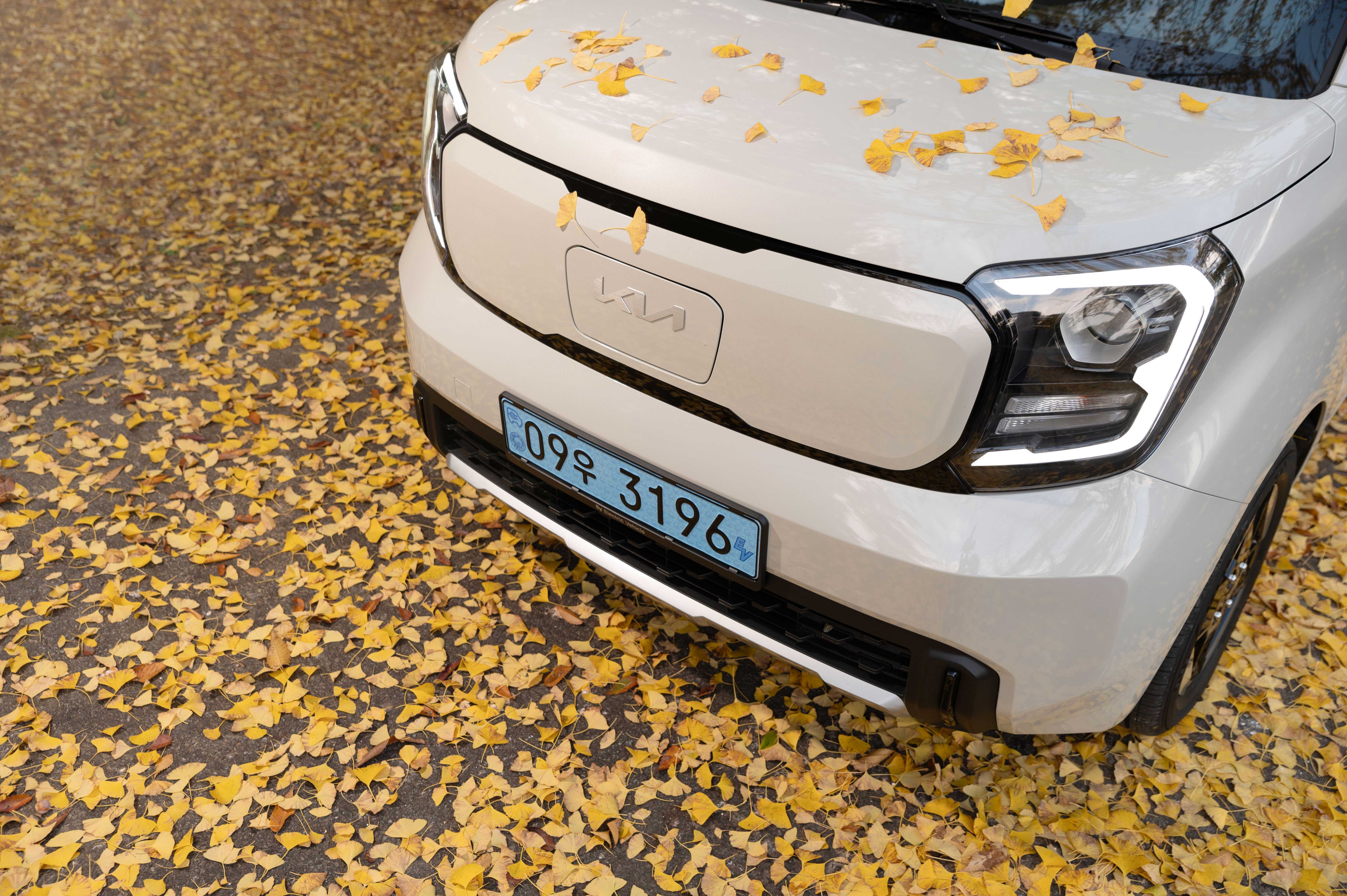 레이EV 본네트 디테일 샷