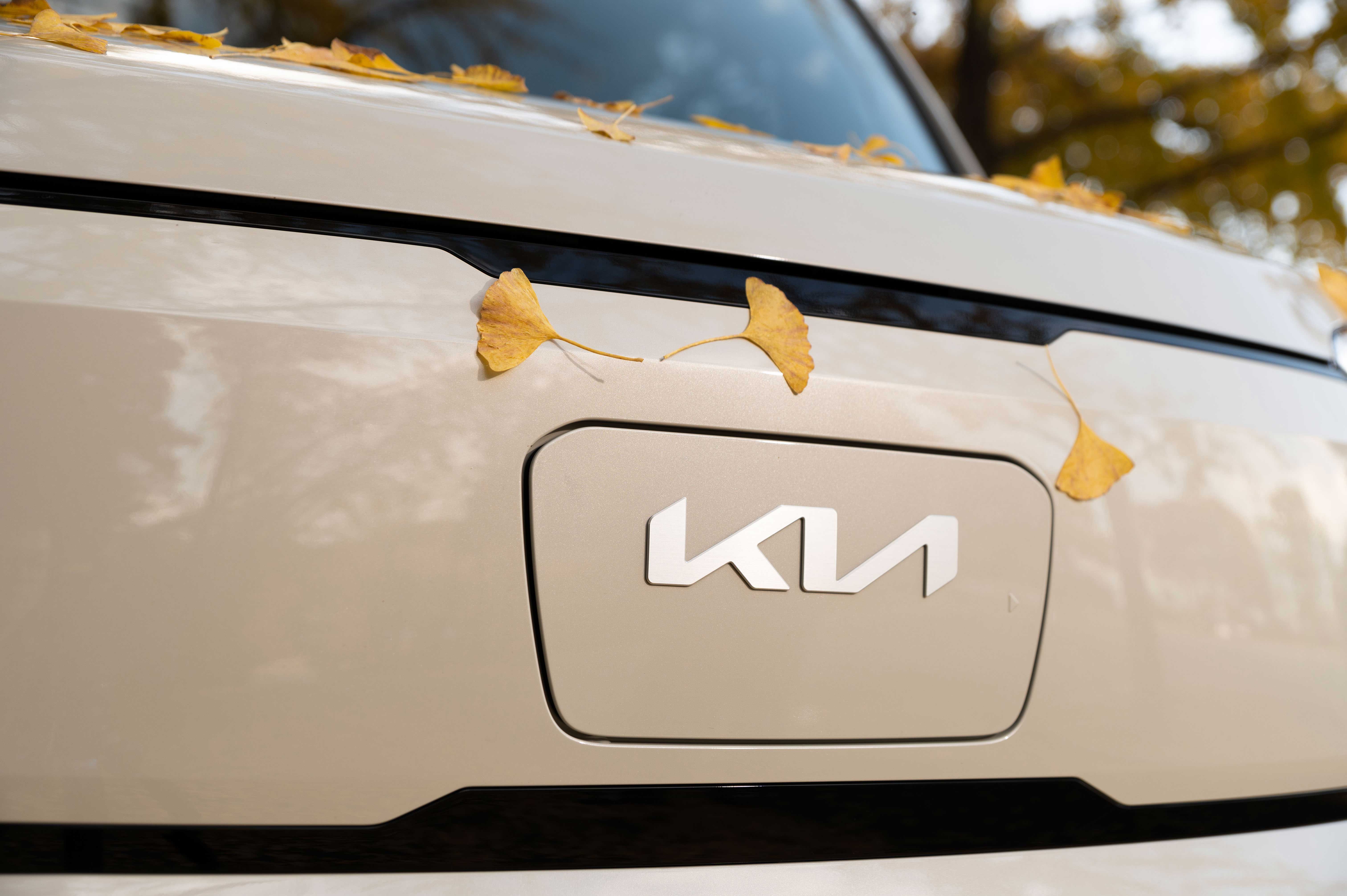 레이EV  충전 포트 커버