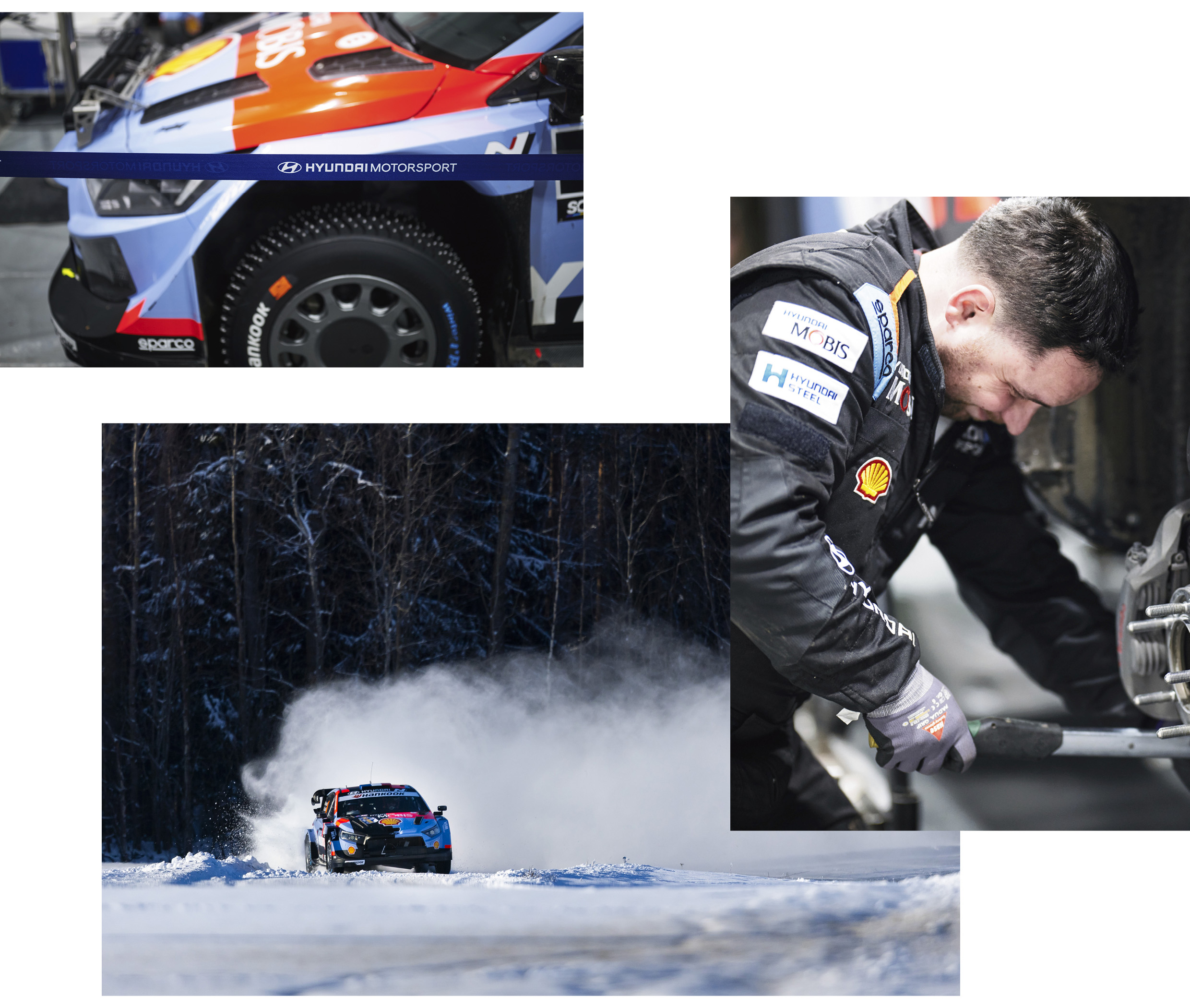 Hyundai World Rally Team