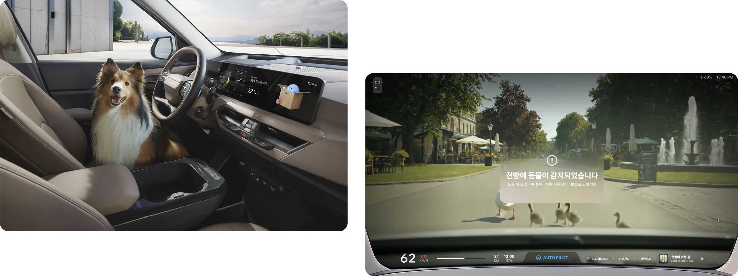 동물들과 연관된 모빌리티 화면의 모습