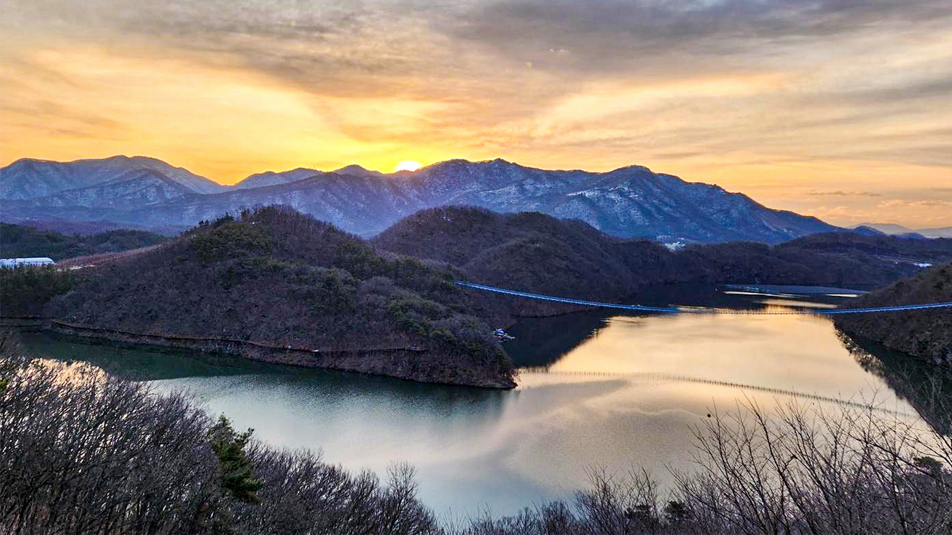20년 이어온 현대모비스의 사회공헌 진심, 생태숲이 돌아왔다!