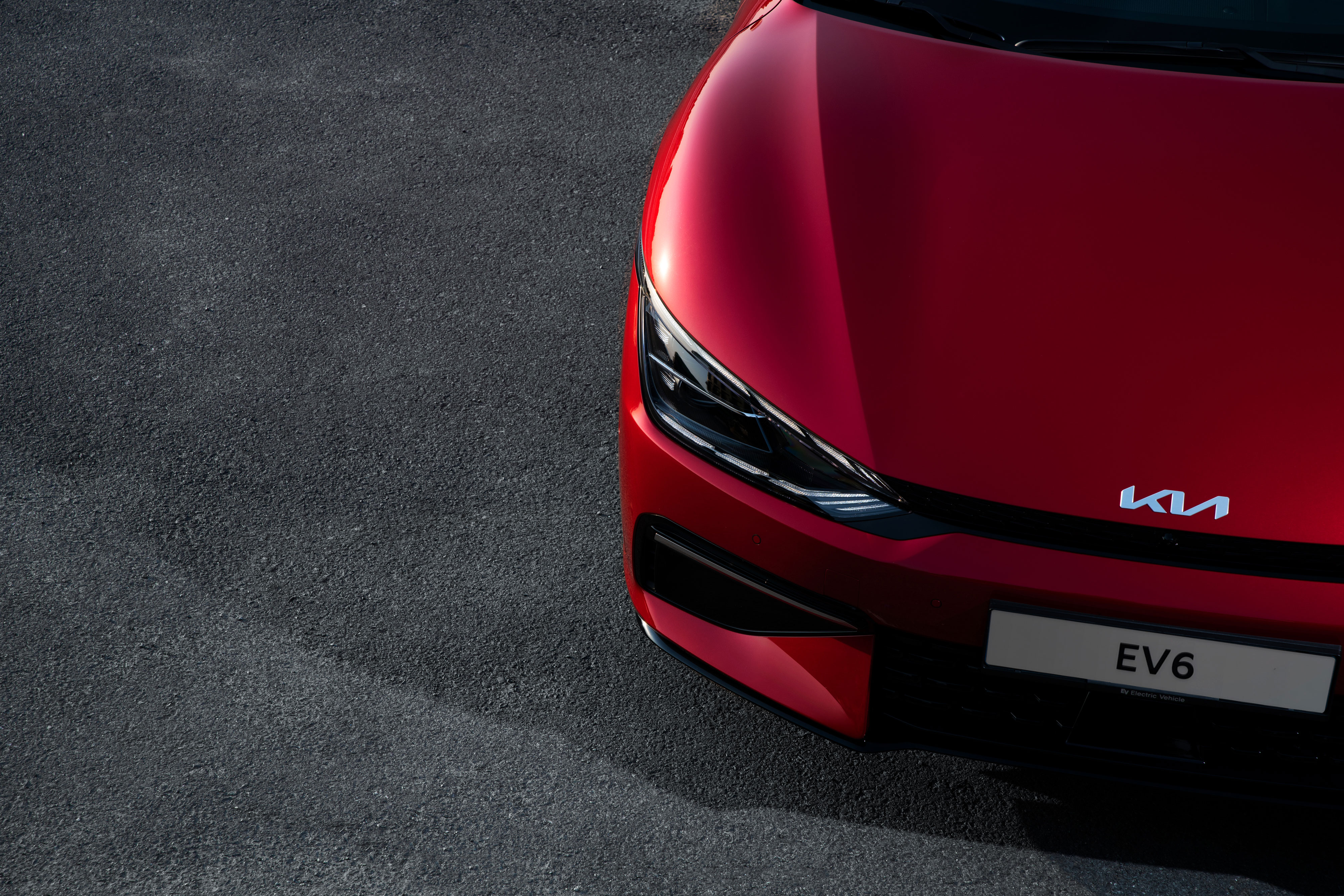 The finest details capture your attention (8)