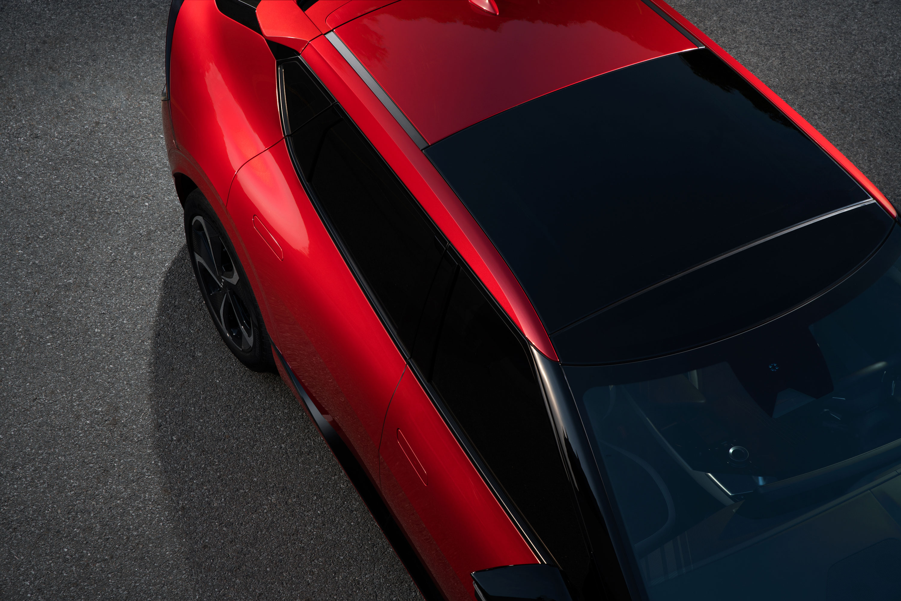 The finest details capture your attention (9)