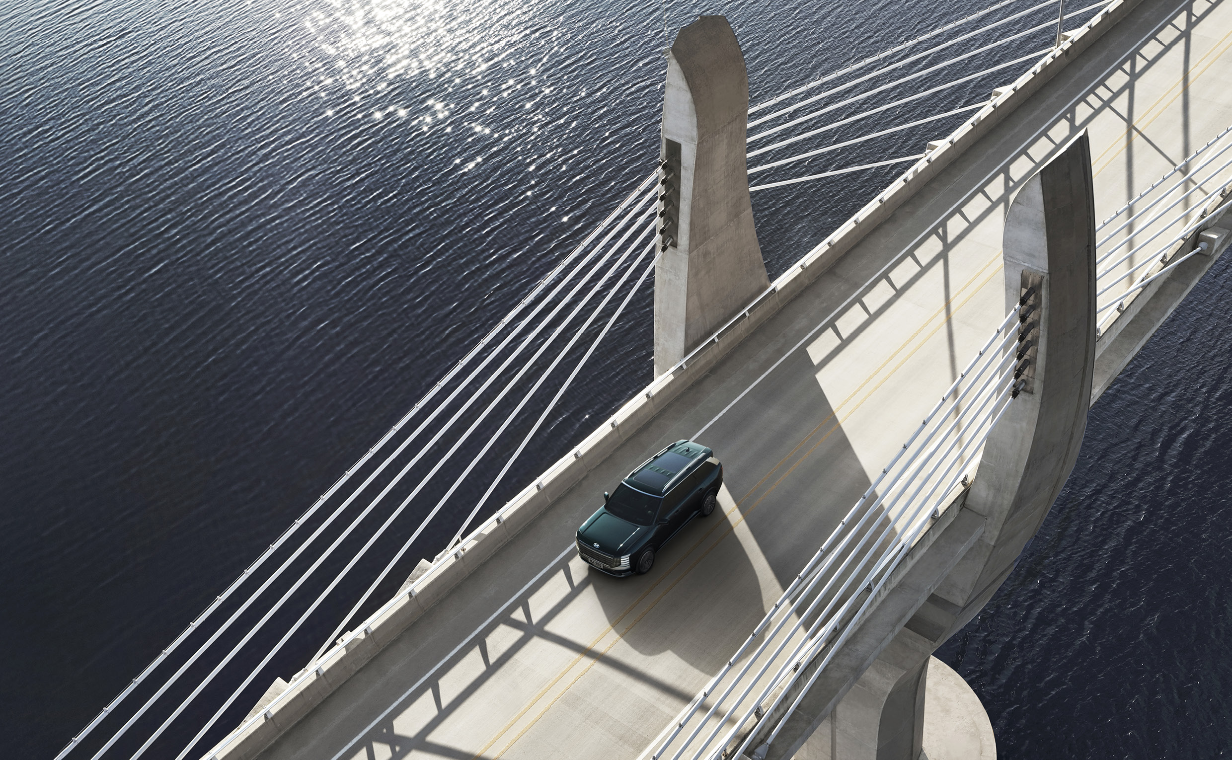 현대자동차 팰리세이드의 주행 모습