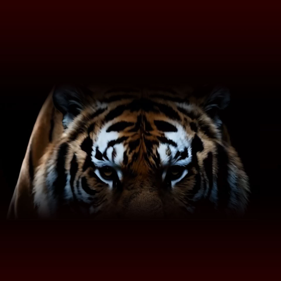 현대차증권, ‘호랭이들’ 3기 모집