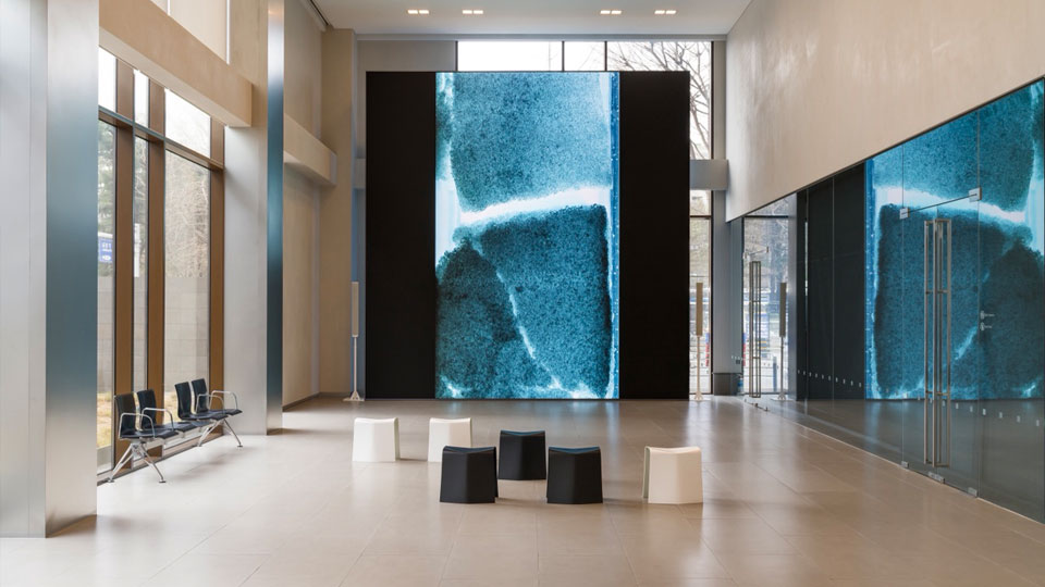 현대카드 MoMA 디지털 월, 'Peggy Weil: Core Memory' 전시 개최