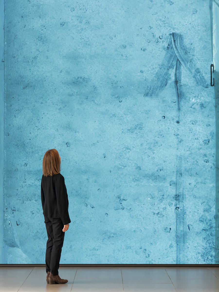 현대카드 MoMA 디지털 월, 'Peggy Weil: Core Memory' 전시 개최