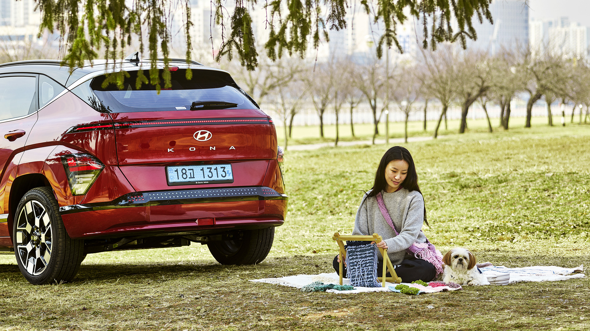 코나 일렉트릭, 피크닉에 온 반려인과 반려견