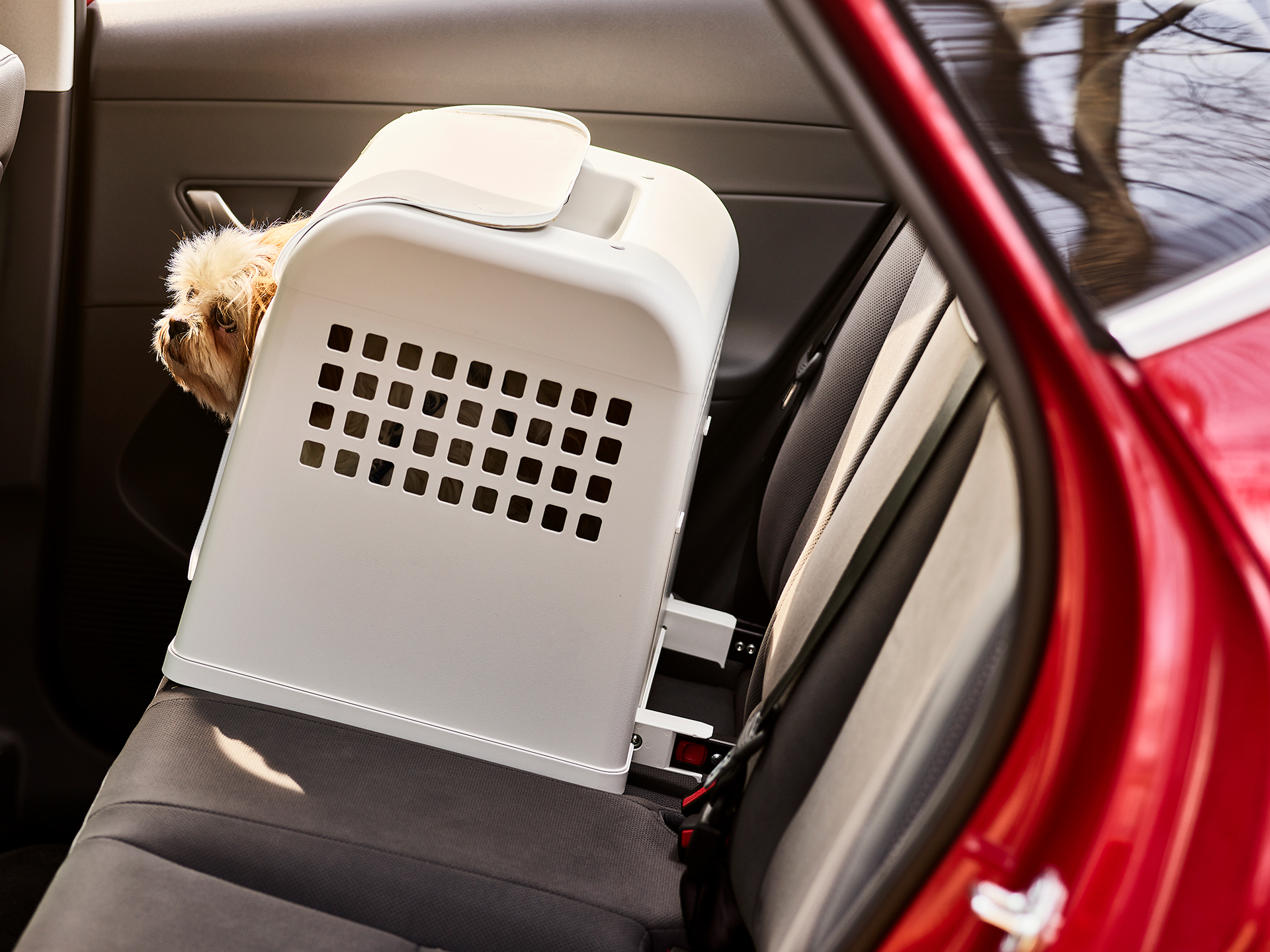 현대 컬렉션 포터블 펫 하우스