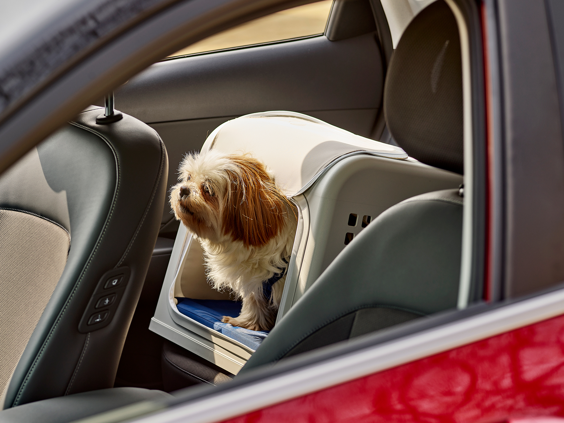 현대 컬렉션 포터블 펫 하우스