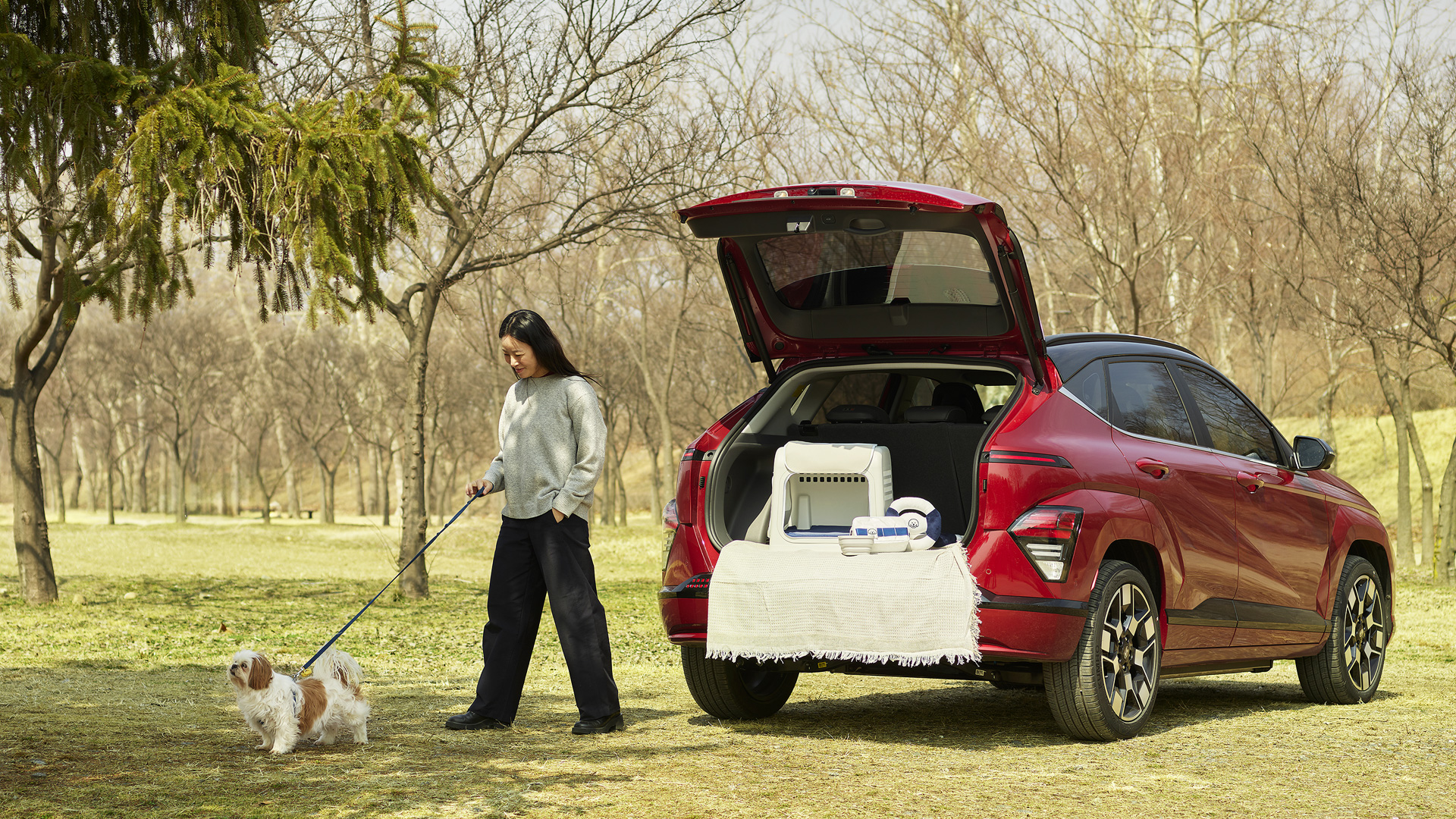 코나 일렉트릭, 반려견 잔디와 김로와 작가