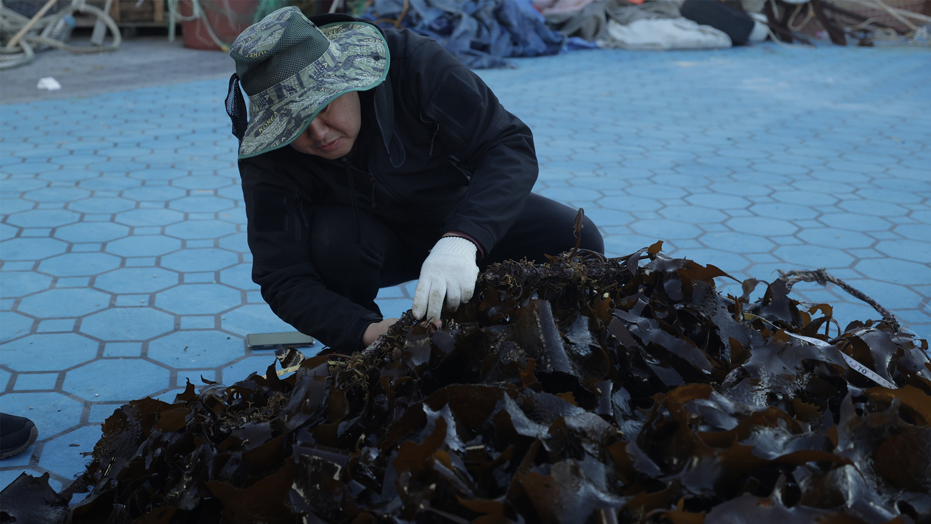 Forests Without Names: Hyundai Motor Brings the World’s Hid-den Sea Forests Into the Light