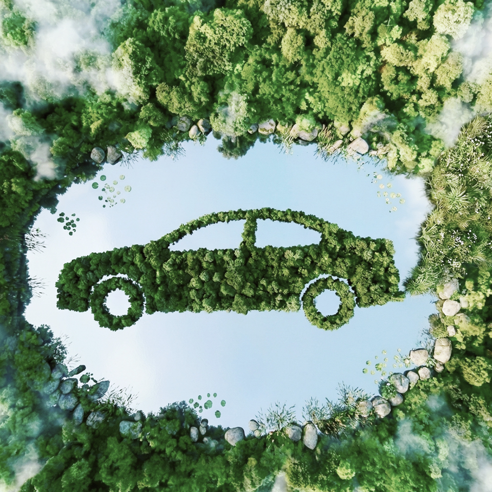 숲 속 호수 위에 나무로 자동차를 형상화한 모습