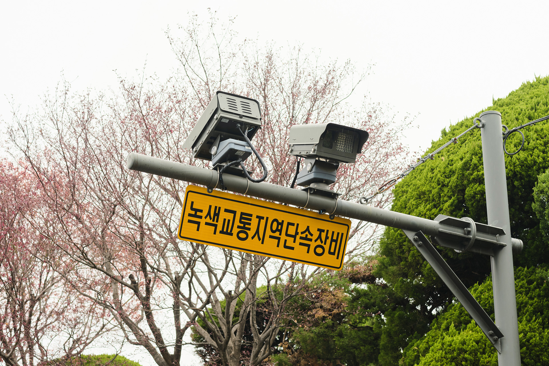 도로에 설치된 녹색 교통 지역 단속 장비