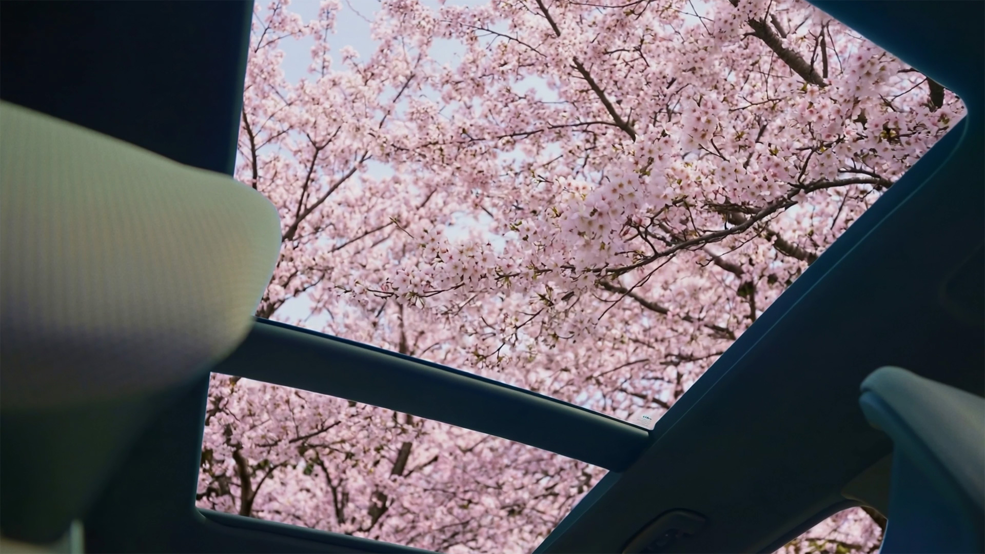 Kia Seltos Hybrid: A Spring Drive Across Open Landscapes