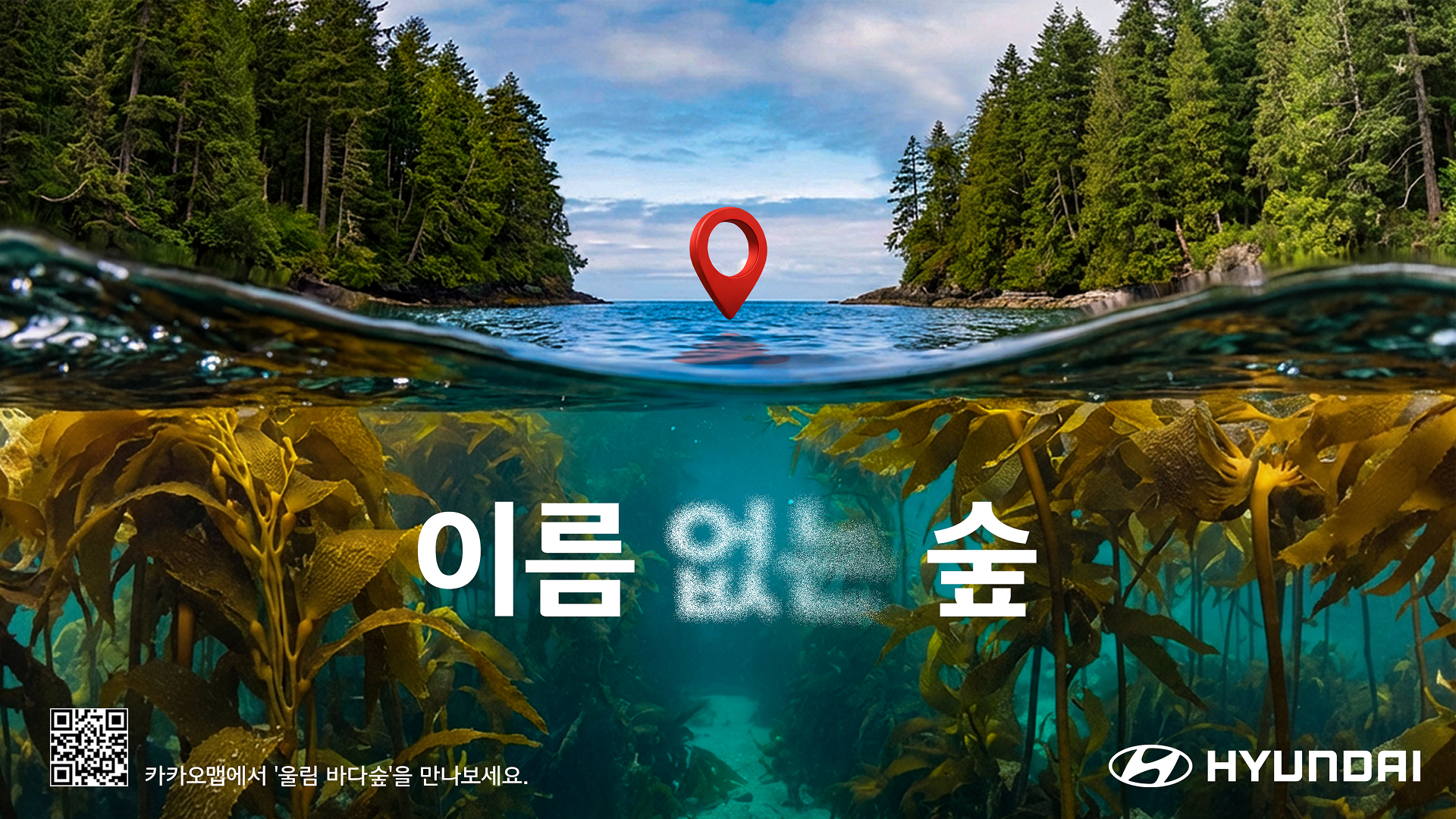 현대차, 바다숲 지키는 ‘이름 없는 숲’ 캠페인 전개