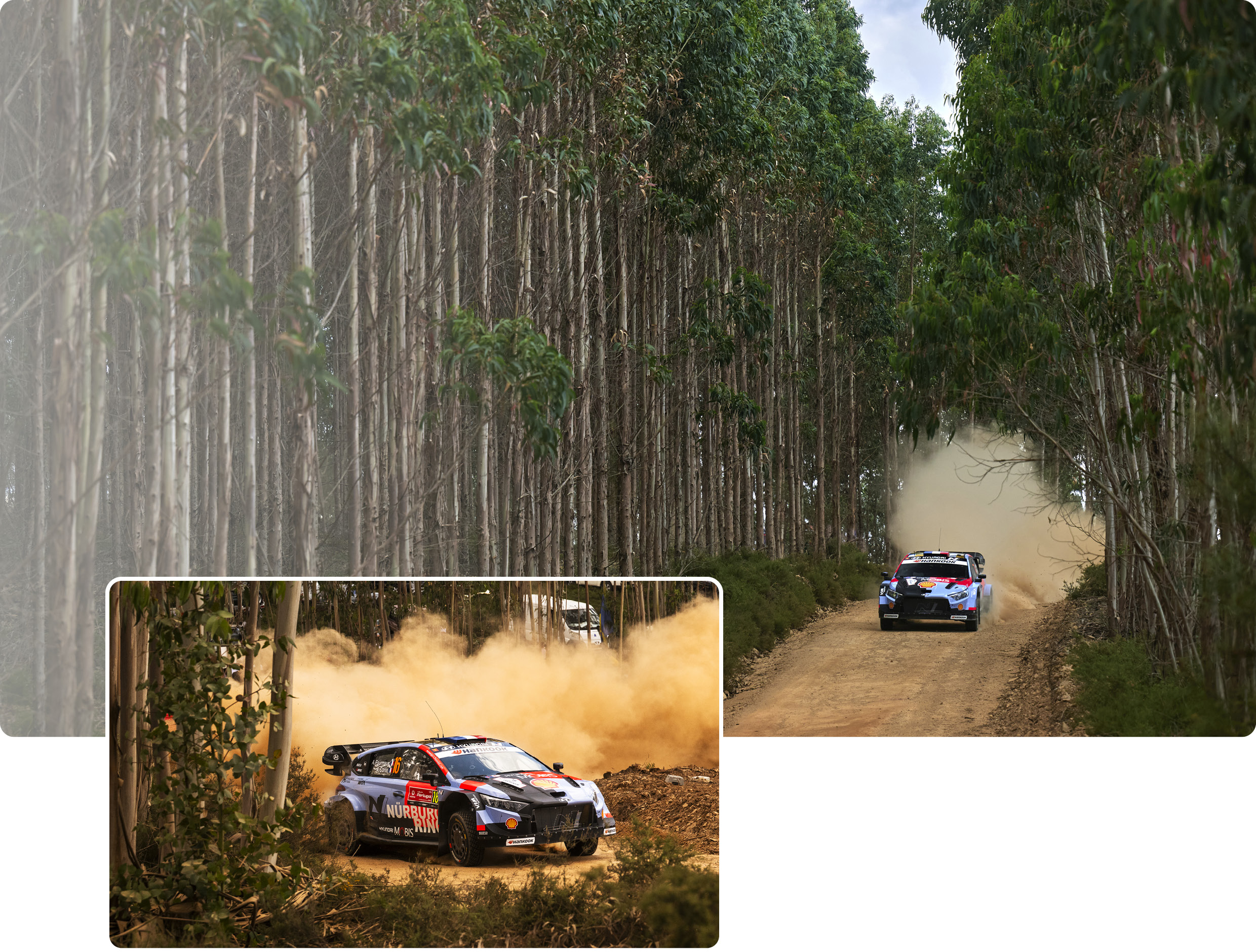 i20 N Rally1
