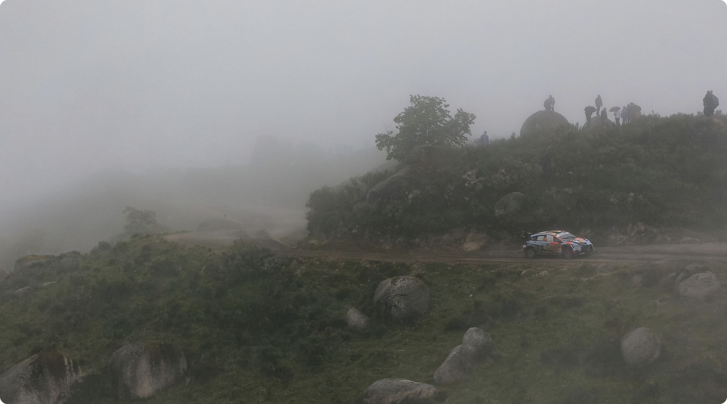 i20 N Rally1