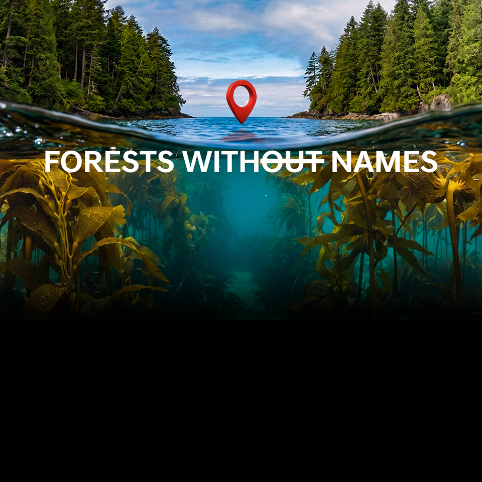 ‘Forests Without Names’ 캠페인 메인 비주얼