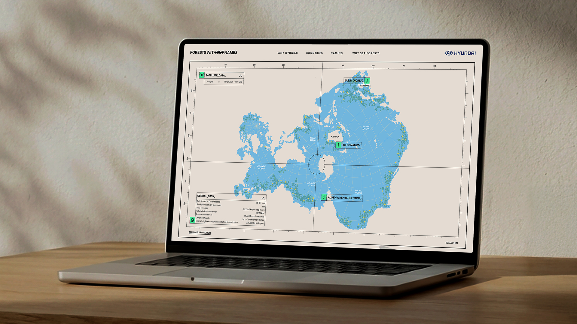 Laptop screen displaying the “Forests Without Names” webpage