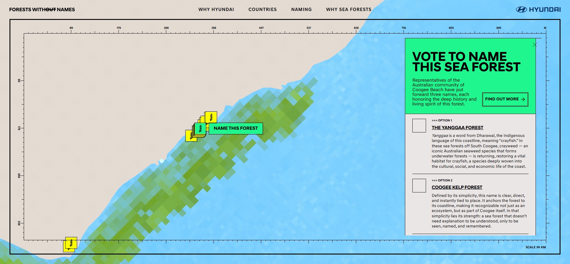 Online voting to name sea forests through Forests Without Names website